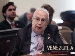 Gustavo Tarre anunció el “regreso” de su país al sistema interamericano. EFE/L. Nolly