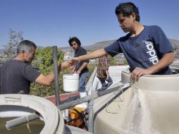 La Cofepris recomienda la limpieza de los sistemas de almacenamiento cada seis meses. EL INFORMADOR / ARCHIVO