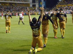 Omega: Constellation Quartz 24mm