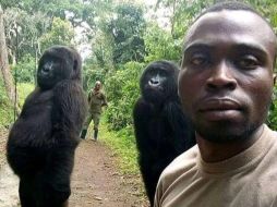 La curiosa fotografía se volvió viral en cuestión de horas. FACEBOOK/Mathieu Shamavu