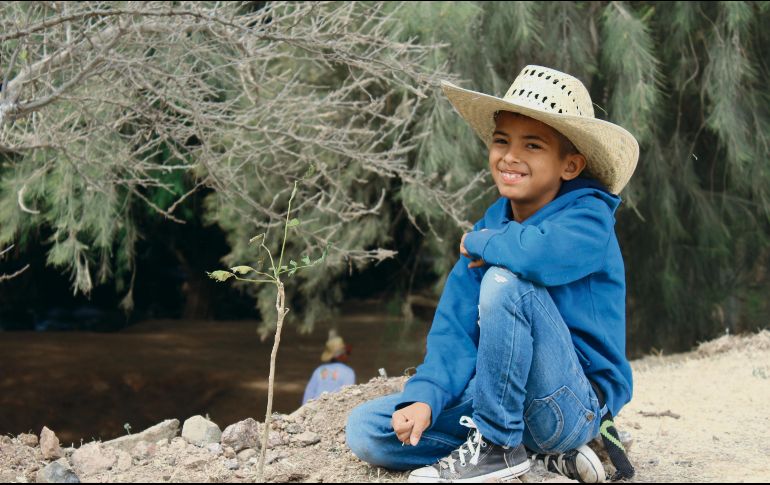 Todos pueden reverdecer el Estado. ESPECIAL