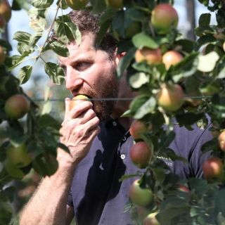 Estos alimentos te ayudan si enfermas de los riñones