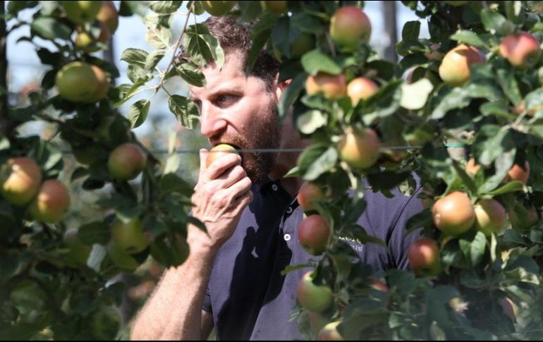 Manzanas, duraznos, zanahorias y chícharos, entre los alimentos adecuados para que la enfermedad renal no se complique. AP / ARCHIVO