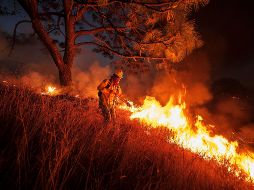 Un total de cuatro mil 629 combatientes, pertenecientes tanto a la Conafor como a gobiernos estatales y municipales, participan en la atención de los incendios. EL INFORMADOR/ARCHIVO
