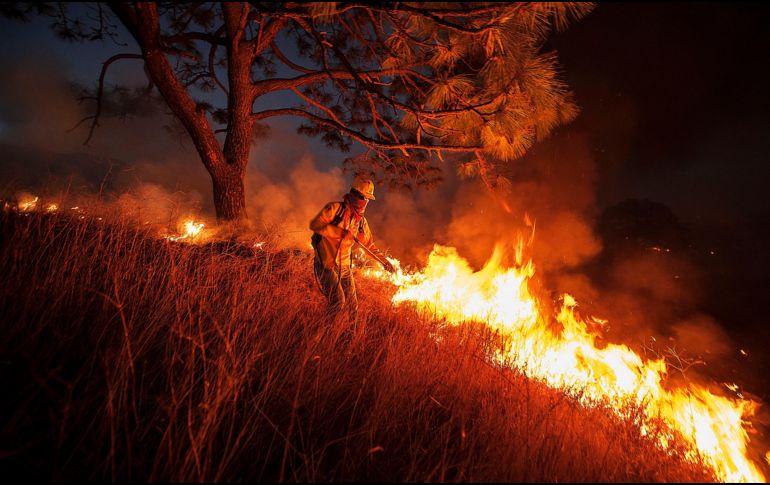 Un total de cuatro mil 629 combatientes, pertenecientes tanto a la Conafor como a gobiernos estatales y municipales, participan en la atención de los incendios. EL INFORMADOR/ARCHIVO