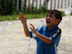 El agua es vital en la digestión, absorción y excreción, además tiene una participación importante en la estructura y función del sistema circulatorio para transportar nutrientes y otras sustancias. NTX / ARCHIVO
