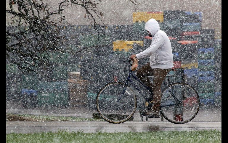 AP / Chicago Tribune / S. Wescott