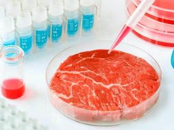 Hasta ahora se han elaborado tres hamburguesas de res cultivando células satelitales de tejido muscular de bovino. TWITTER / @emeequis