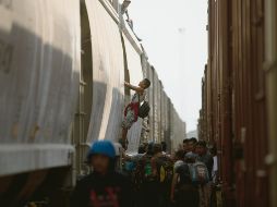 Fotogalería: Viajar a lomos de “La Bestia”