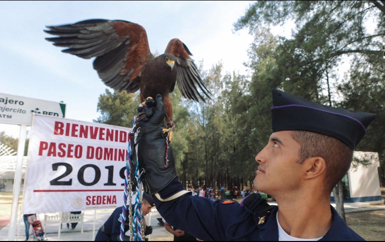 En su edición 2019, el Paseo Dominical convocado por la Sedena, obtuvo un total de 23 mil 500 asistentes. EL INFORMADOR / G. Gallo