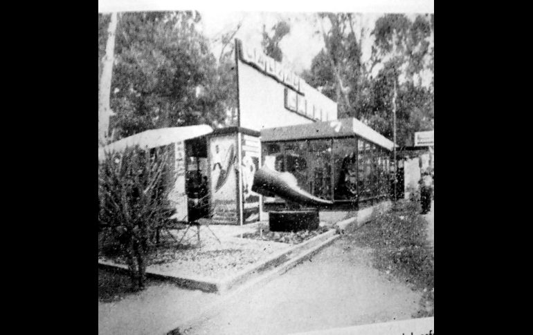 En esa misma feria y mismo año, Calzado Canadá lanzó antes que ninguna otra firma en el país el codiciadísimo modelo “Italiano” puntiagudos mocasines que la juventud rocanrolera masculina requería para completar su look.... Aquí vemos un modelo del mismo en una medida gigante que como todas sus campañas de publicidad fueron exitosísimas. CORTESÍA / F. Partida