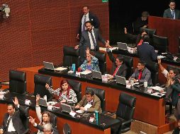El dictamen se avaló en lo general, pero en lo particular no logró mayoría calificada. SUN / V. Rosas