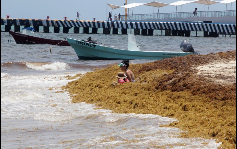 Así lucía ayer Playa del Carmen, en Quintana Roo. EFE/A. Cupul