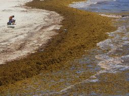 Así lucía ayer Playa del Carmen, en Quintana Roo. EFE/A. Cupul