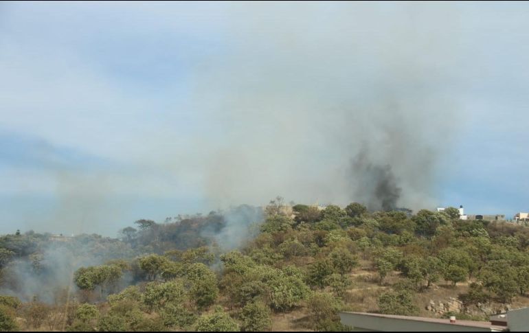 Dos brigadas, apoyadas por una pipa y una motobomba, participaron en las labores. ESPECIAL/Bomberos de Zapopan
