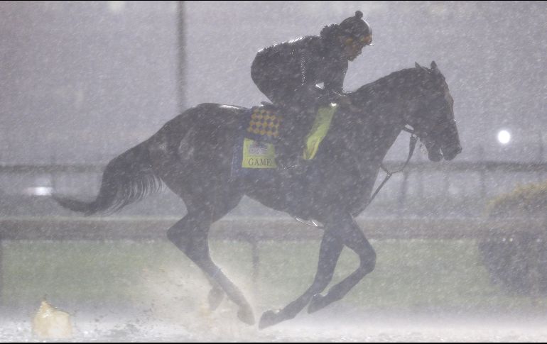 “Game Winner” adelanta ligeramente en las apuestas para la carrera de hoy. AFP/M. Reaves