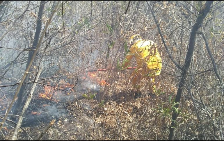 Autoridades exhortan a la población a mantenerse atenta de las recomendaciones de las autoridades ante cualquier reporte de incendio. ESPECIAL/Protección Civil Jalisco