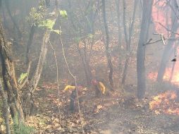 El gobierno de Guatemala no ha descartado solicitar ayuda a México y Honduras. ARCHIVO / EL INFORMADOR