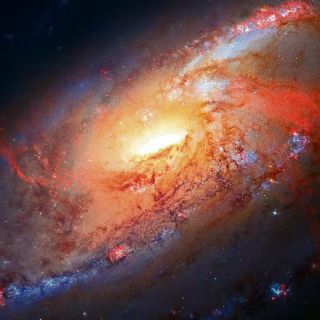 Científica mexicana encabeza descubrimiento astronómico