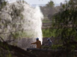 Al primer bimestre de 2019, el número de trabajadores dedicados a vigilar la red de 17 mil kilómetros de ductos de la empresa asciende a mil 238. EFE/ARCHIVO
