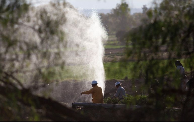 Al primer bimestre de 2019, el número de trabajadores dedicados a vigilar la red de 17 mil kilómetros de ductos de la empresa asciende a mil 238. EFE/ARCHIVO
