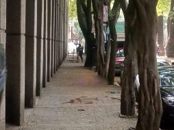 El hecho ocurre en el cruce de las calles Agustín Márquez y Mazatlán en la colonia Condesa. TWITTER / @vialhermes