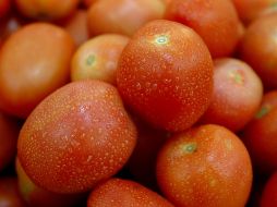 Este día se cumplen los 90 días de la notificación que hizo el Departamento de Comercio de EU para que se concluya el llamado ''acuerdo de suspensión'' que estuvo vigente por más de 22 años entre ambos países. EL INFORMADOR / ARCHIVO