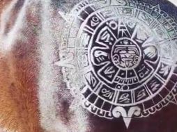 Uno de los caballos luce un calendario azteca. INSTAGRAM