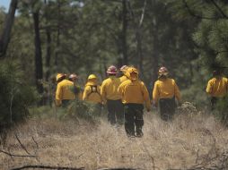 Más de 300 personas luchan por apagar los incendios, y están siendo dirigidos por Sedana, Conador y Protección Civil. EL INFORMADOR / ARCHIVO