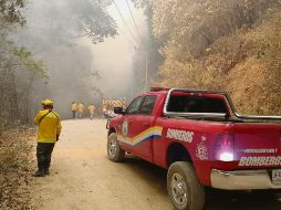 FIRMES. Los brigadistas en la zona de combate al fuego en el Sur de Jalisco. ESPECIAL