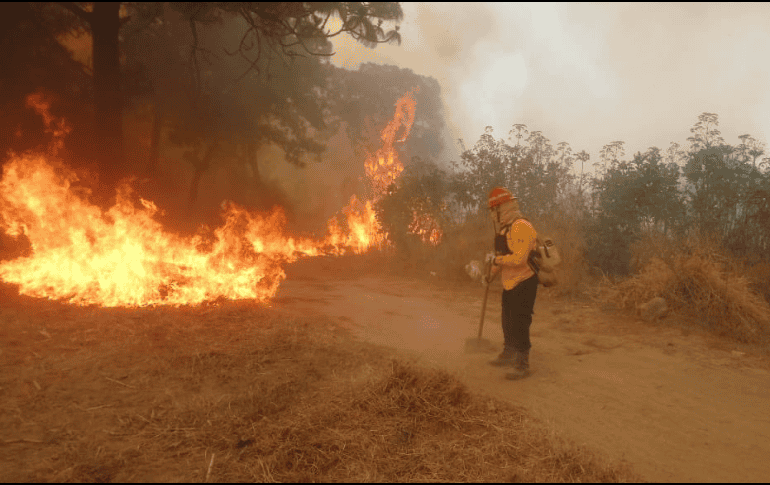 TWITTER / @SemadetJal