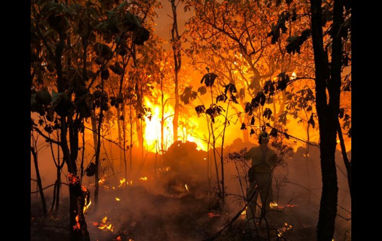 Brigadistas combaten el incendio desde que se reportó ayer alrededor de las 15:50 horas. ESPECIAL/Protección Civil de Zapopan