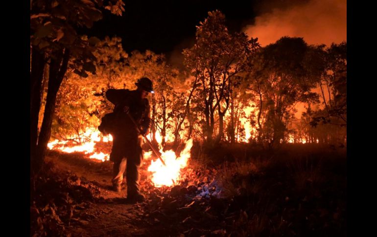 ESPECIAL/Protección Civil de Zapopan