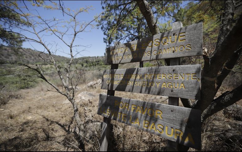 Desde 2016 se modificaron las leyes para impedir cambios de uso de suelo por 20 años en los predios forestales que sufrieran un incendio intencional. EL INFORMADOR / ARCHIVO