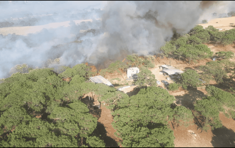 En total participaron 577 elementos, 108 vehículos y los helicópteros 