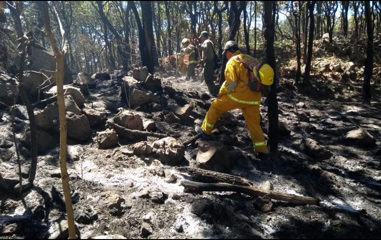 Ayer, alrededor de las 21:00 horas, Protección Civil Jalisco informó que después de 28 horas de trabajo coordinado, el incendio en La Primavera fue extinguido. TWITTER / @PCJalisco