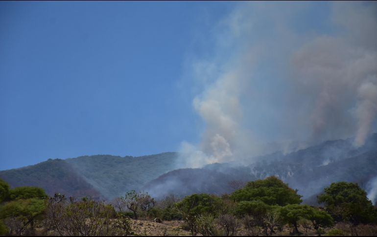 Se estima que el fuego quede controlado en el transcurso de este martes. ESPECIAL / Gobierno de Tlajomulco