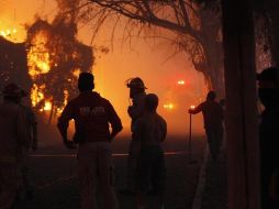 ESPECIAL / Gobierno de Zapopan