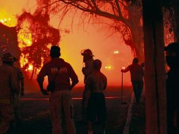 Apenas habían controlado el incendio que inició el domingo pasado en el Bosque La Primavera, cuando ayer por la tarde el fuego volvió, esta vez en la zona de Pinar de la Venta. ESPECIAL
