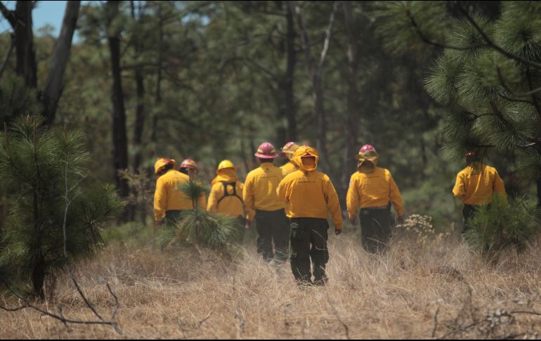 También invitó a que quienes realizan quemas para preparar la tierra por el ciclo agrícola, que lo hagan de manera controlada. EL INFORMADOR/ ARCHIVO