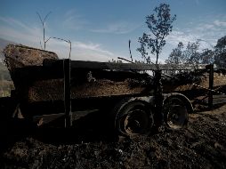 Aspectos generales del fraccionamiento zapopano luego de que el siniestro fuera combatido en su totalidad. EL INFORMADOR/F. Atilano