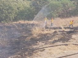 En el combate del fuego participaron elementos y brigadistas de Bomberos Zapopan, de la Semadet y del OPD del Bosque La Primavera. TWITTER / @SemadetJal