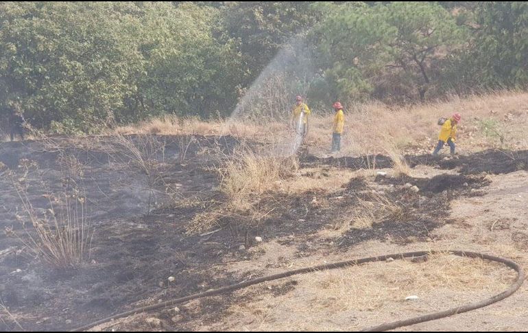 En el combate del fuego participaron elementos y brigadistas de Bomberos Zapopan, de la Semadet y del OPD del Bosque La Primavera. TWITTER / @SemadetJal