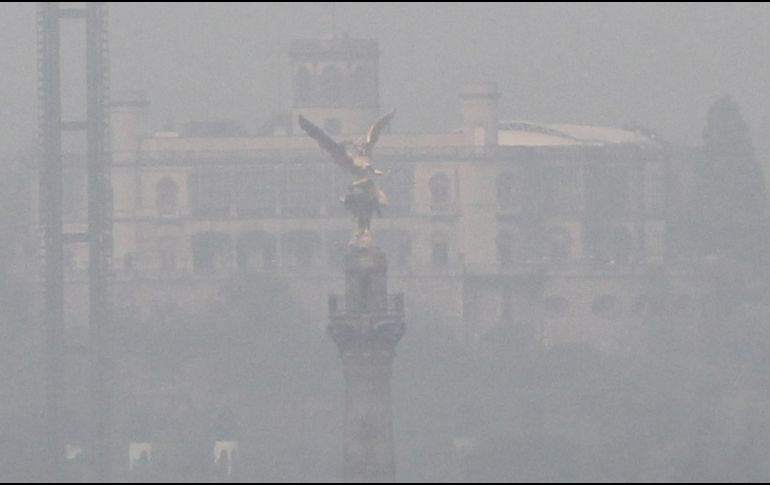 Así lucía ayer el Ángel de la Independencia a corta distancia. EFE/M. Guzmán