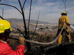 Tras incendios, limitan acceso a La Primavera