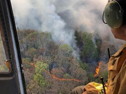 El colectivo pide vigilar el cumplimiento de prohibición al cambio de uso de suelo en zonas boscosas que han sido incendiadas. NTX/ESPECIAL/ARCHIVO