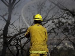 Los primeros reportes hablan de que fue una 