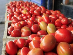 Estados Unidos eliminó la aplicación del acuerdo de suspensión a la investigación antidumping, por lo que se impuso un arancel de 17.5 por ciento. EL INFORMADOR / ARCHIVO