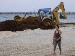 Acusan que el ayuntamiento de Benito Juárez introdujo maquinaria pesada en las playas, incumplimiento las reglas federales para el manejo de sargazo. AP / ARCHIVO