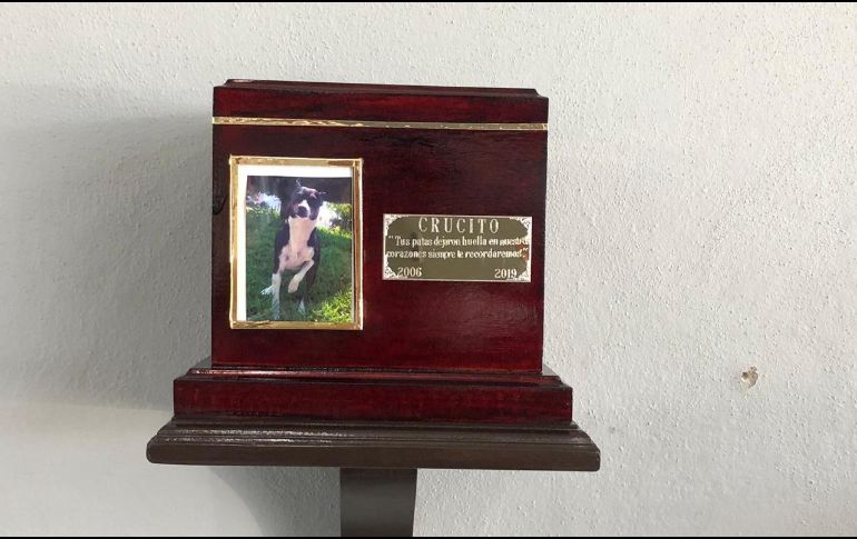 ESPECIAL / Protección Civil Jalisco